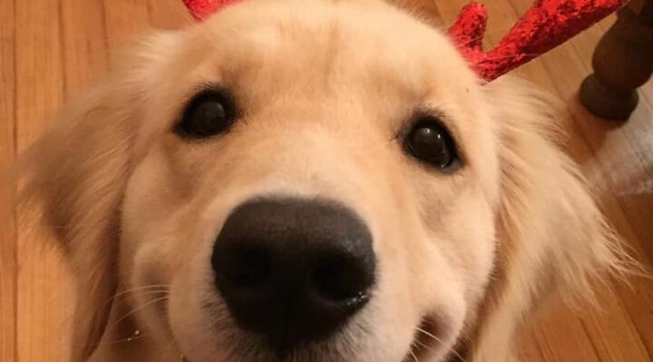 JulieCasal | Fox 11 Tri Cities Fox 41 Yakima