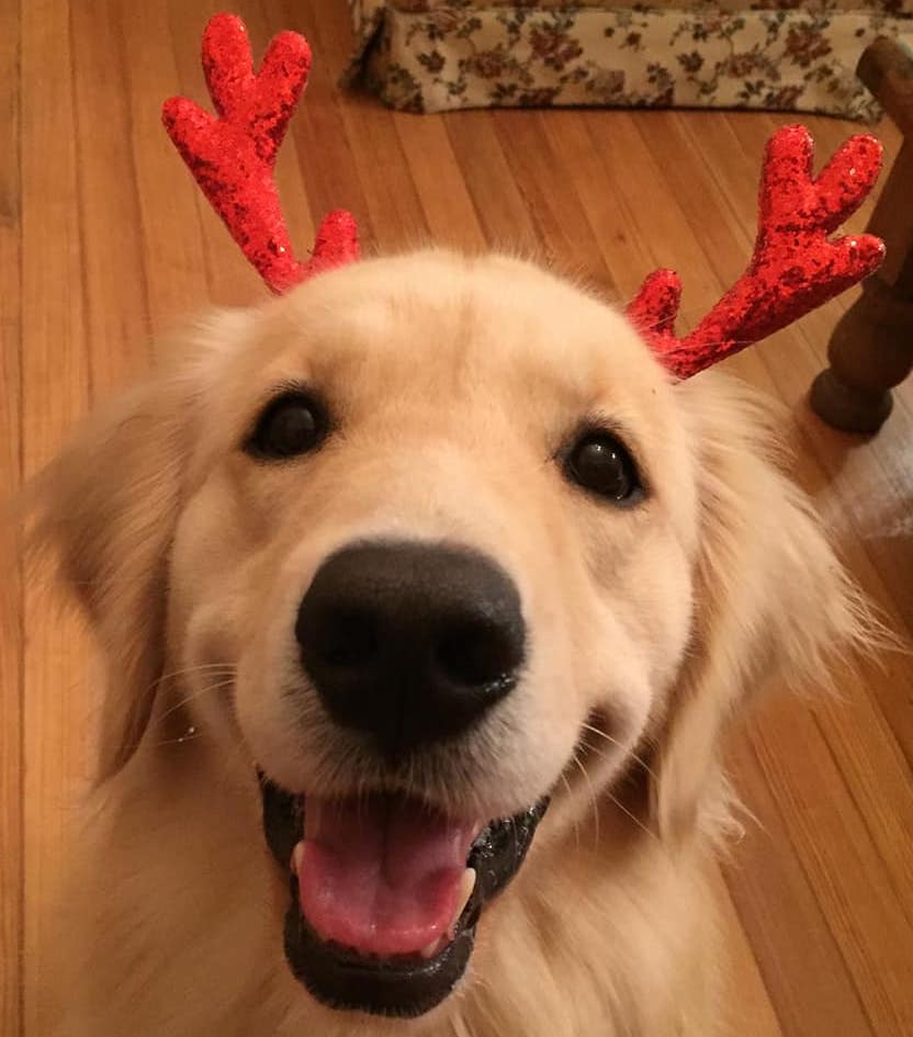 JulieCasal | FOX 28 Spokane