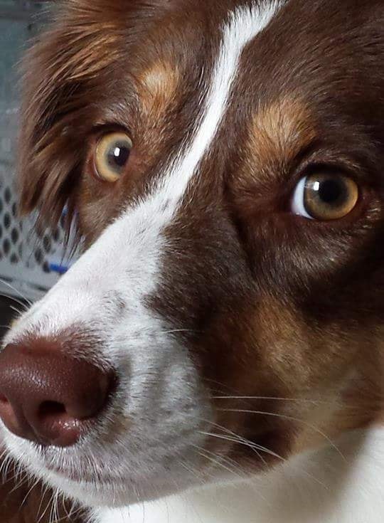 CCHarrison | FOX 28 Spokane