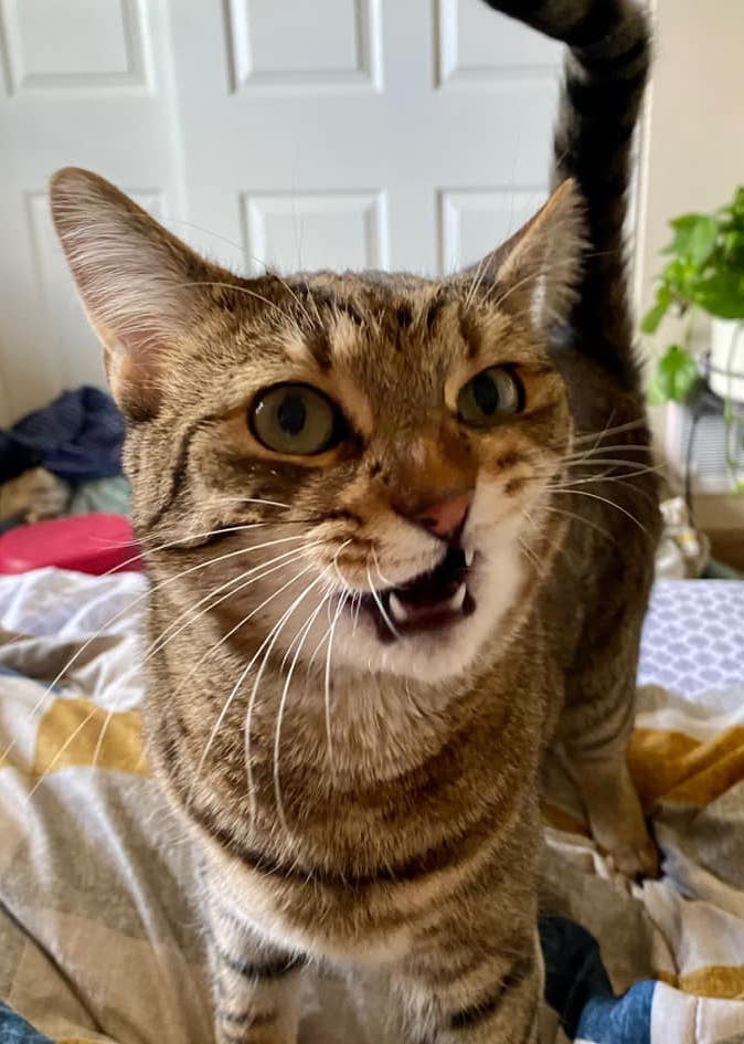 MarkCuilla | FOX 28 Spokane