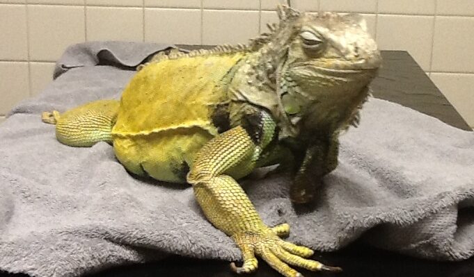 RuthHeller | Fox 11 Tri Cities Fox 41 Yakima