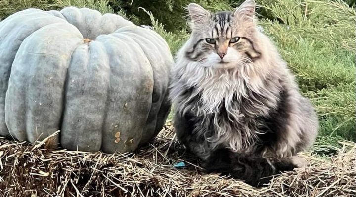 MaryHayward | FOX 28 Spokane