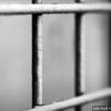 Child predator from Yakima Washington sentenced to 40 months in prison
