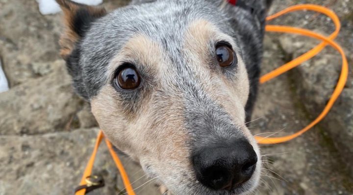 DakotaEckenroth | FOX 28 Spokane