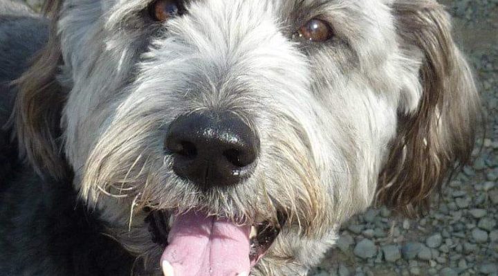 S.Keel_-720x399.jpg | Fox 11 Tri Cities Fox 41 Yakima