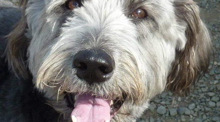 S.Keel | FOX 28 Spokane