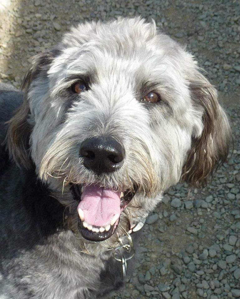 S.Keel | FOX 28 Spokane