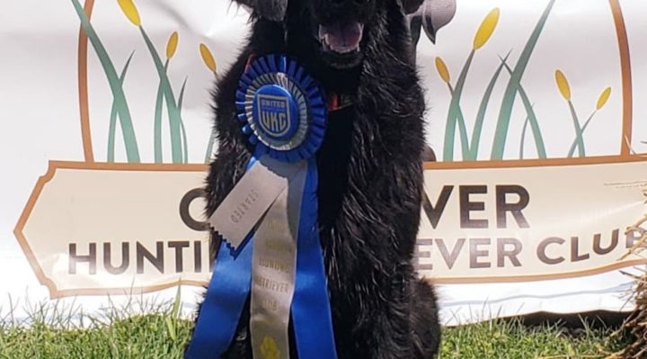 AmySuggars | FOX 28 Spokane