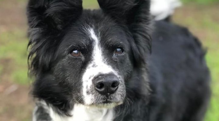 GwenJones-720x399.jpg | Fox 11 Tri Cities Fox 41 Yakima