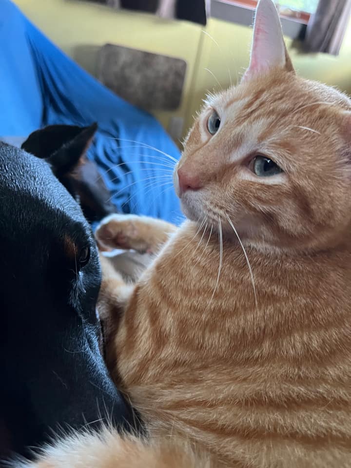 TrishMcMillan | FOX 28 Spokane