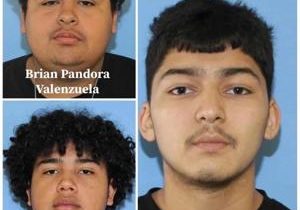 Three teens arrested for a shooting off Pimlico Dr. in Pasco