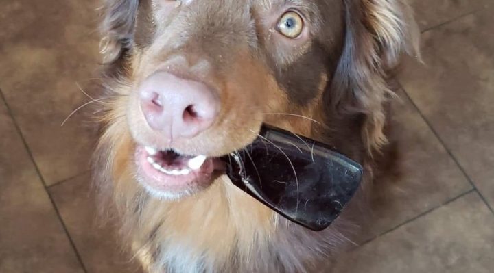 ErinSaywellJot-720x399.jpg | Fox 11 Tri Cities Fox 41 Yakima