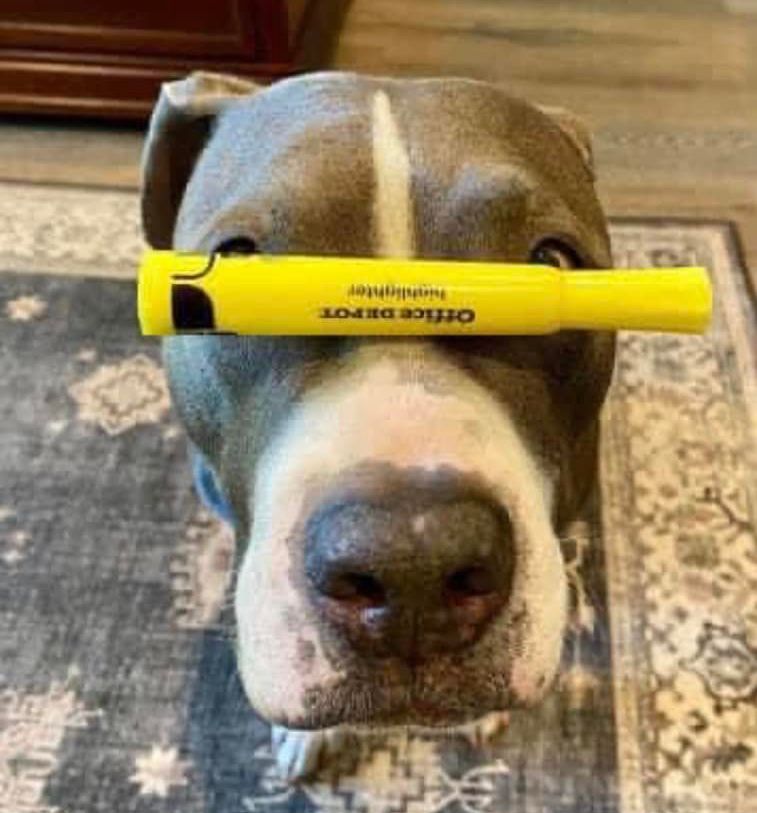 | Fox 11 Tri Cities Fox 41 Yakima