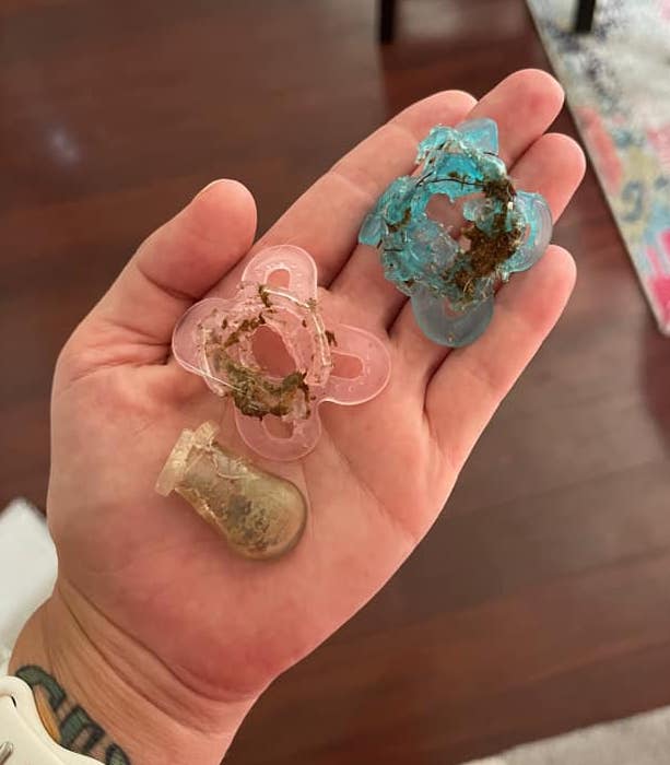 | Fox 11 Tri Cities Fox 41 Yakima