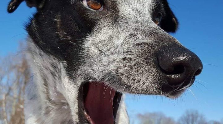 ErinSaywell | FOX 28 Spokane