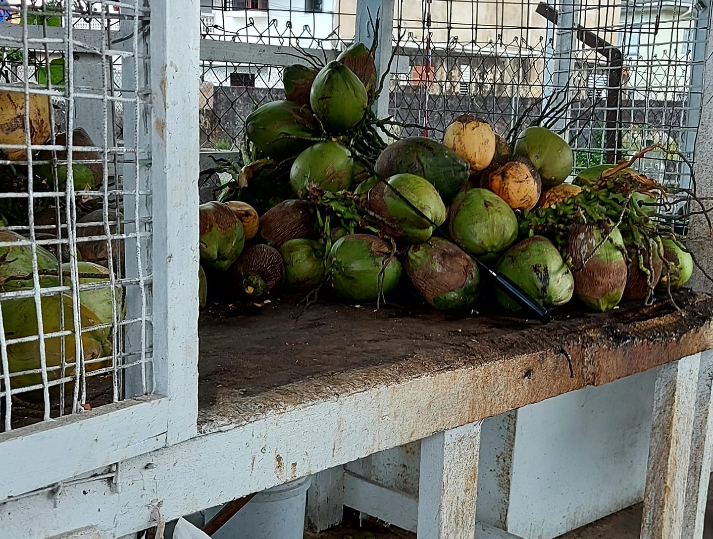 | Fox 11 Tri Cities Fox 41 Yakima