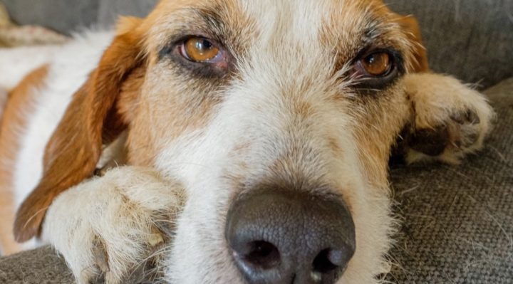 StevenCogswell | FOX 28 Spokane