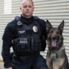 Retired Kennewick K-9 Officer Axel dies after 8 years of service