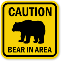 Woman attacked by bear in Chelan County, Sheriff’s Office asks public to avoid area