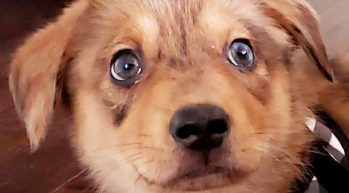 AmySuggars-720x399.jpg | Fox 11 Tri Cities Fox 41 Yakima