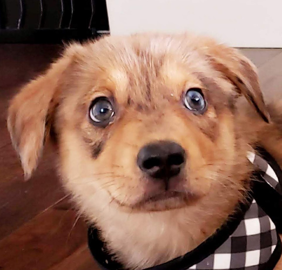 AmySuggars | FOX 28 Spokane