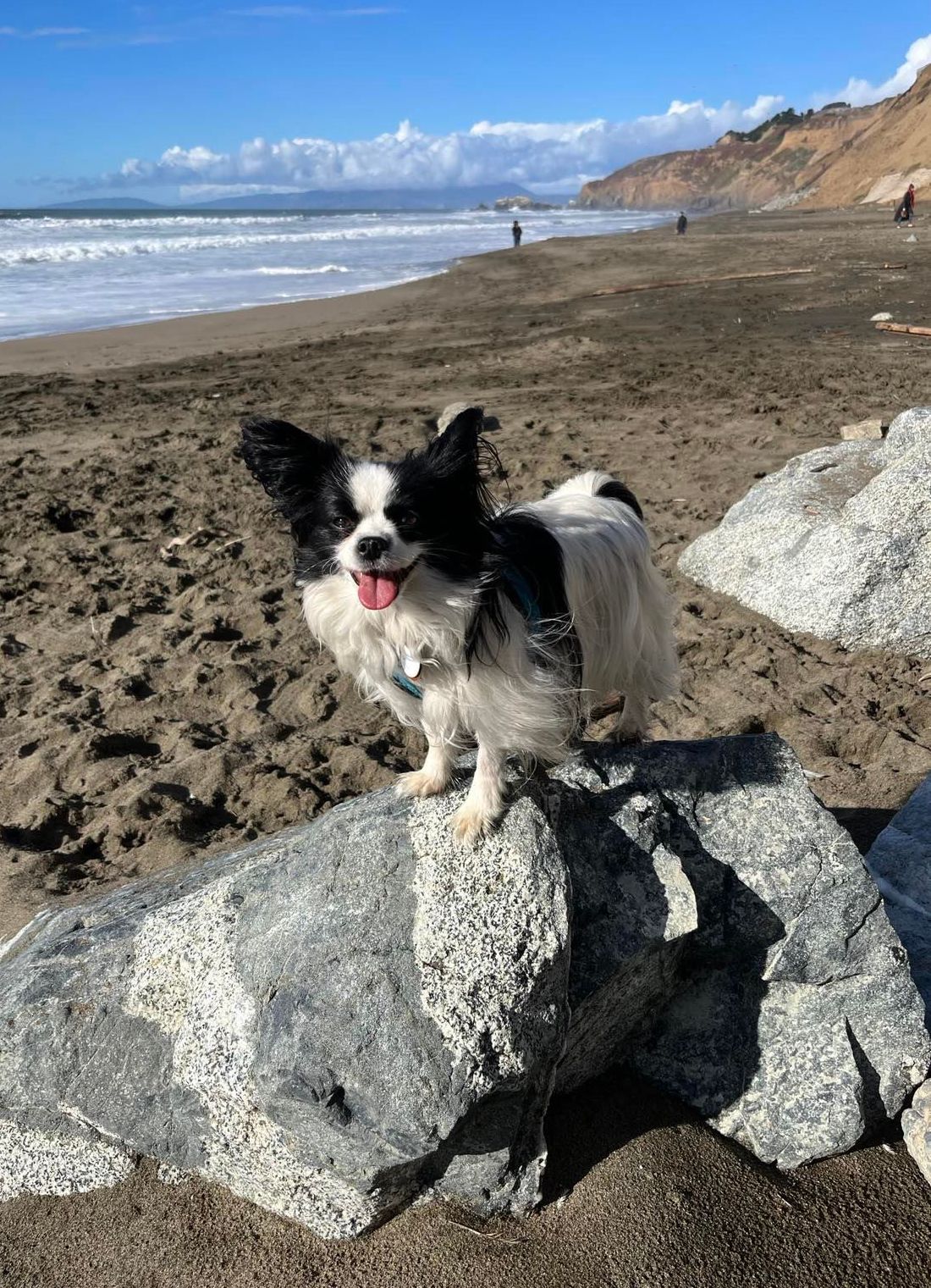 AlishaArdiana | FOX 28 Spokane