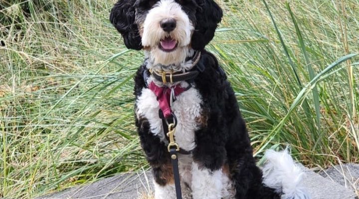 ShellyKeel-720x399jpg | Fox 11 Tri Cities Fox 41 Yakima