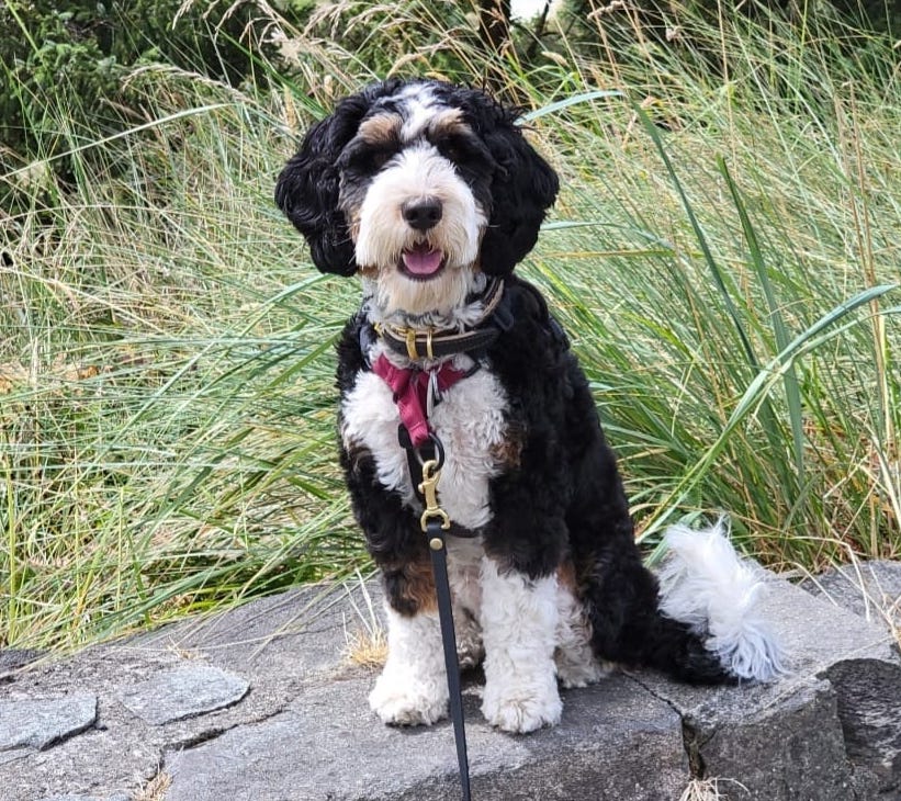 ShellyKeel | FOX 28 Spokane