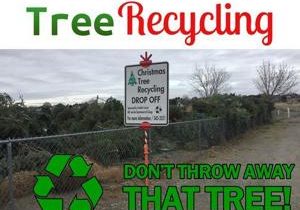 Don’t know what to do with your natural Christmas tree? Recycle it with Pasco Recreation Services