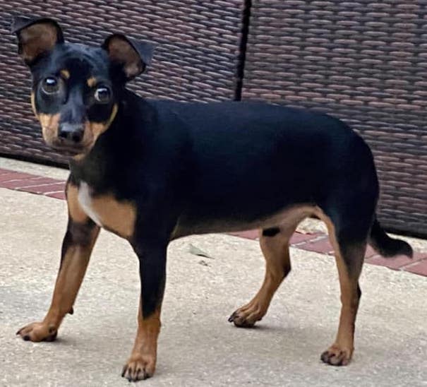 JessicaStinsonHudson | FOX 28 Spokane