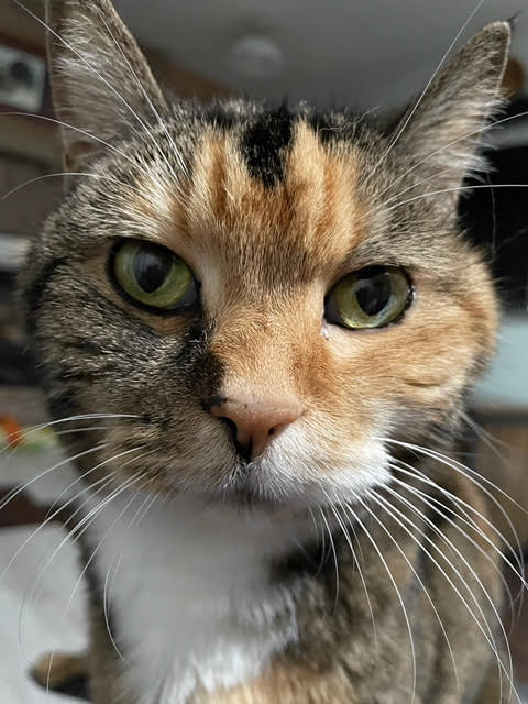 JamesStripes | FOX 28 Spokane