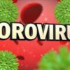 Norovirus suspected in Walla Walla County