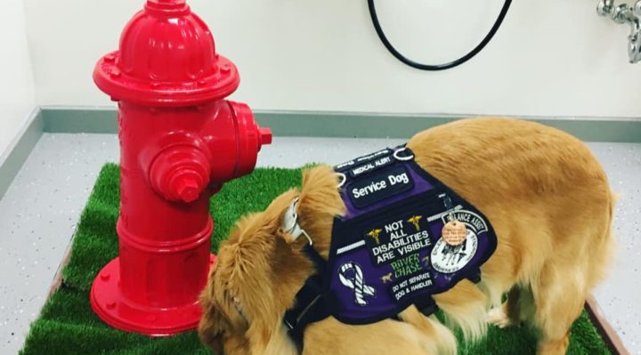 MacallanHydrant | FOX 28 Spokane