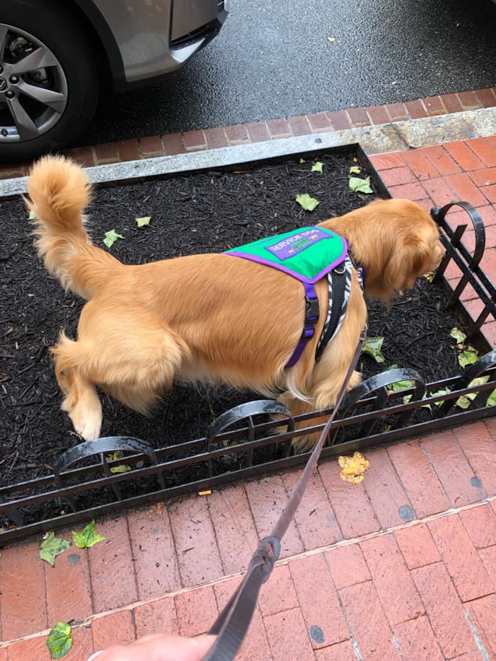 MacallanOutside | FOX 28 Spokane