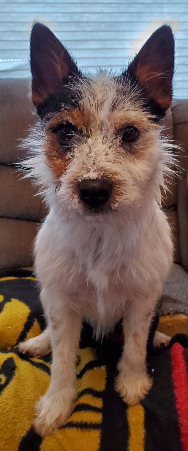 MichelleBrady | FOX 28 Spokane