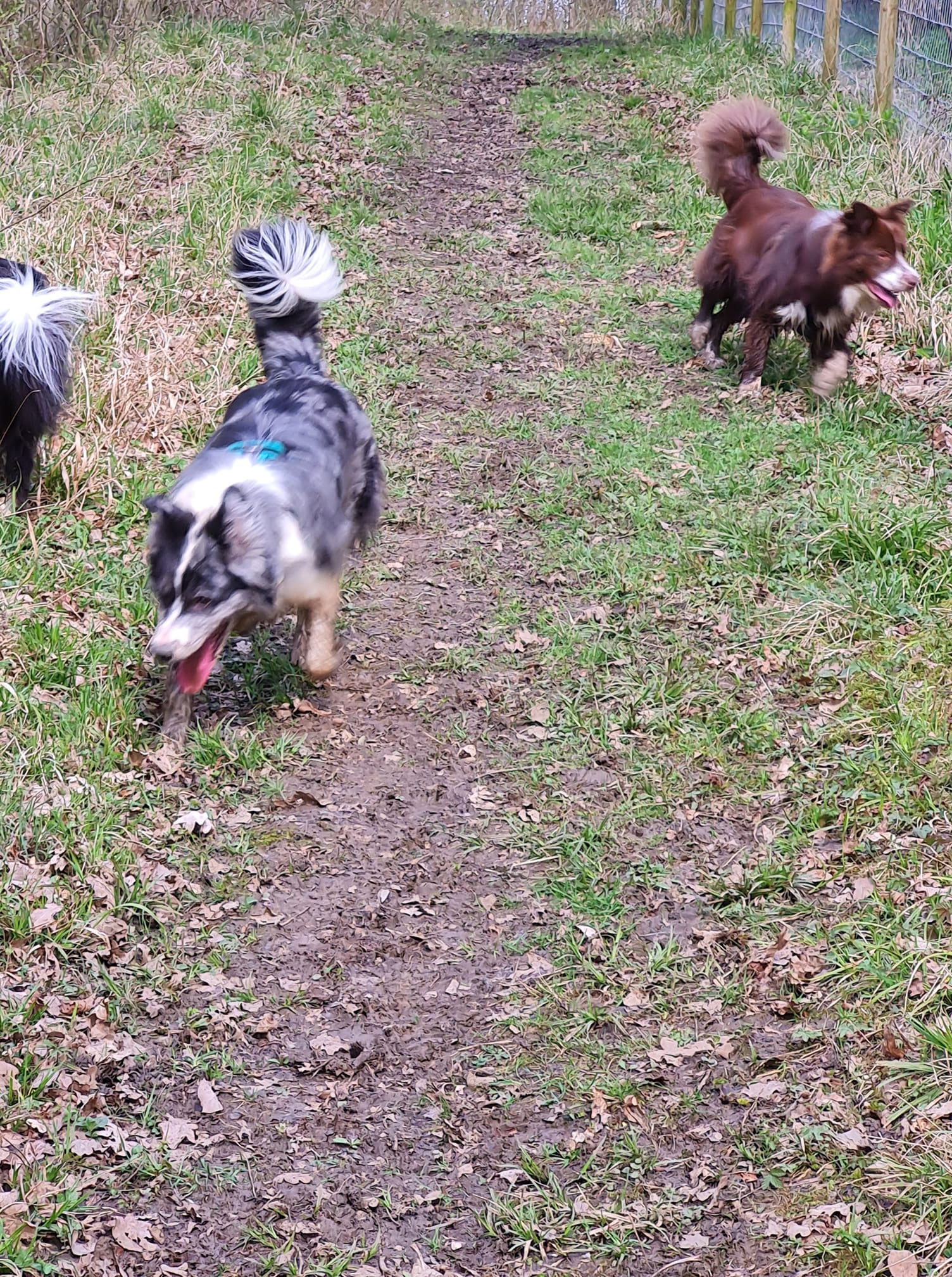 OlwenTurnsMuddy | FOX 28 Spokane