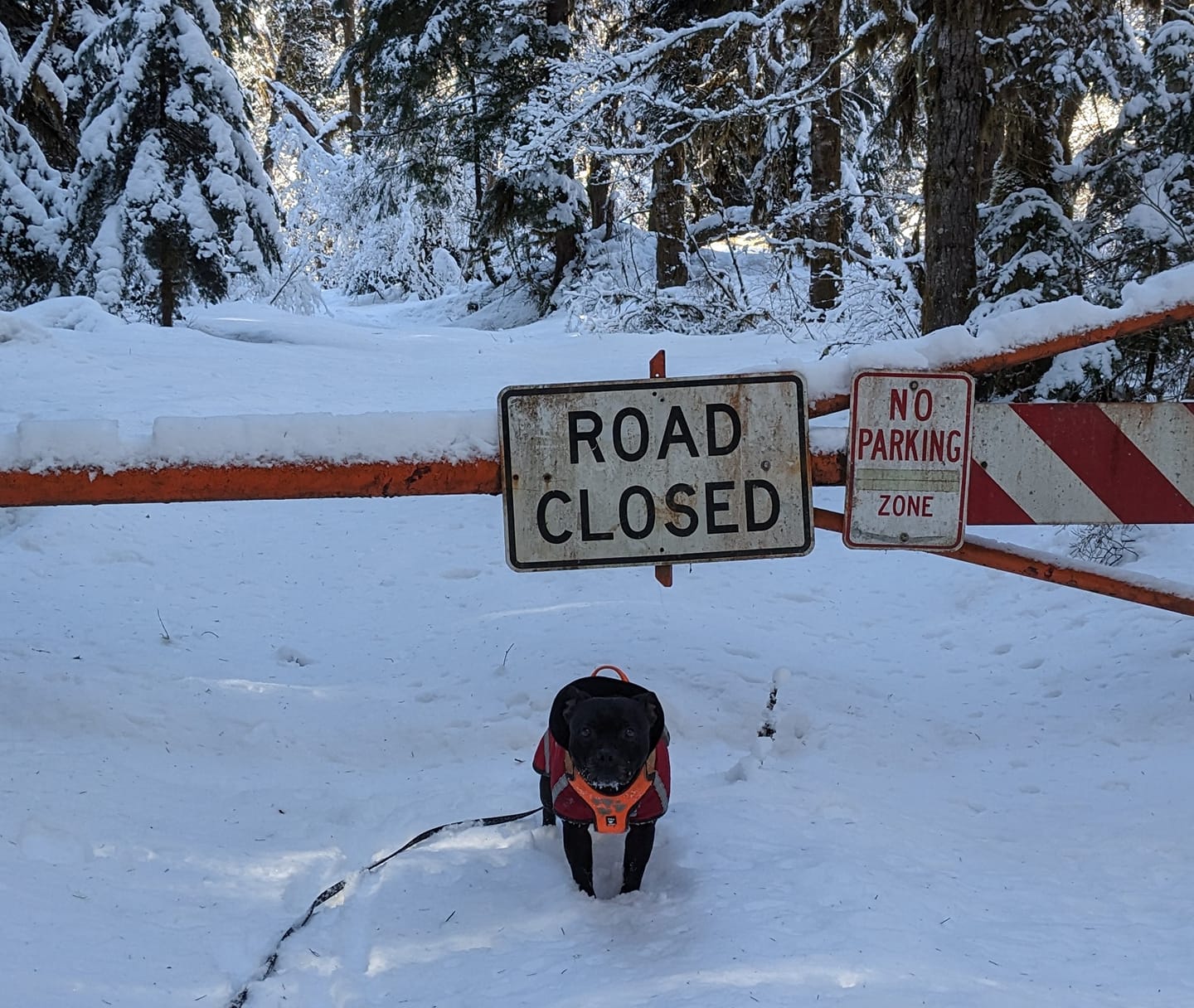 SarahAdams | FOX 28 Spokane