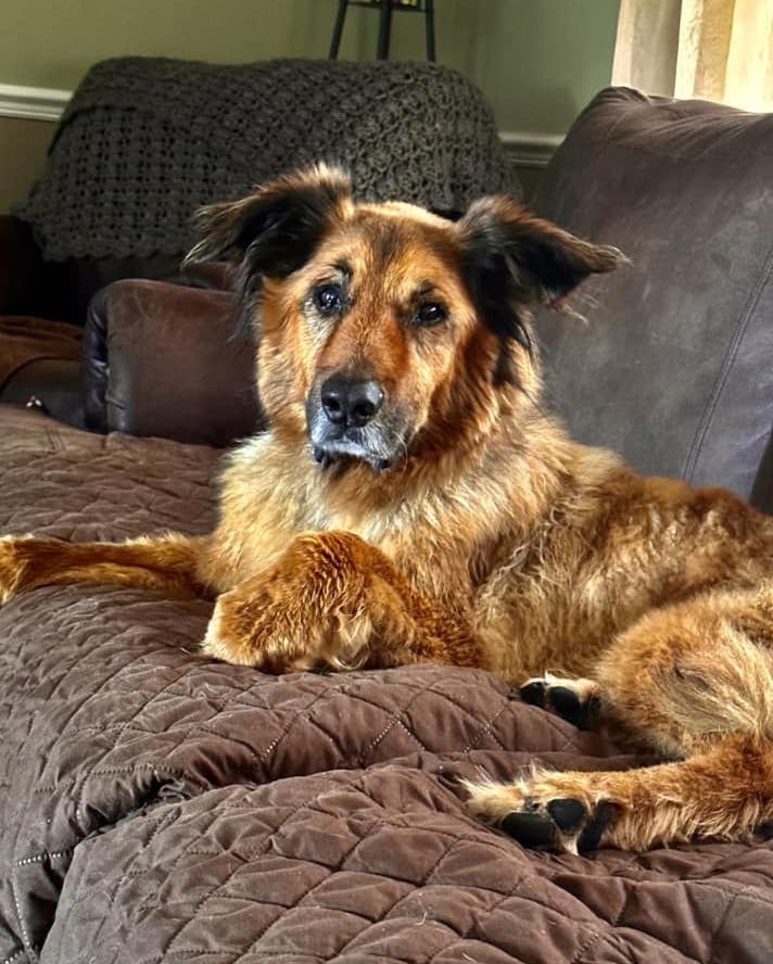 SueHeron | FOX 28 Spokane