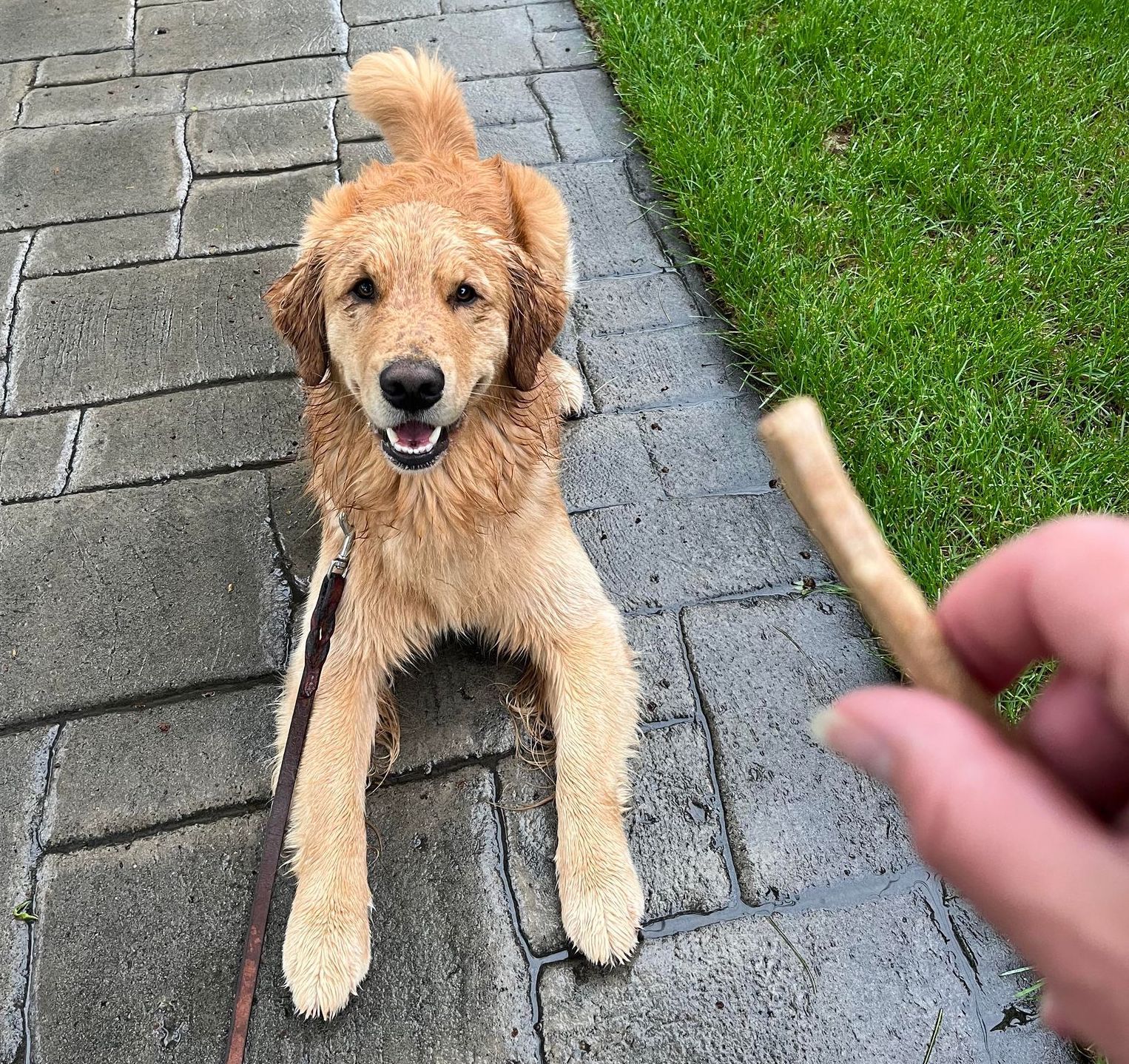 JillGibbswtreat | FOX 28 Spokane