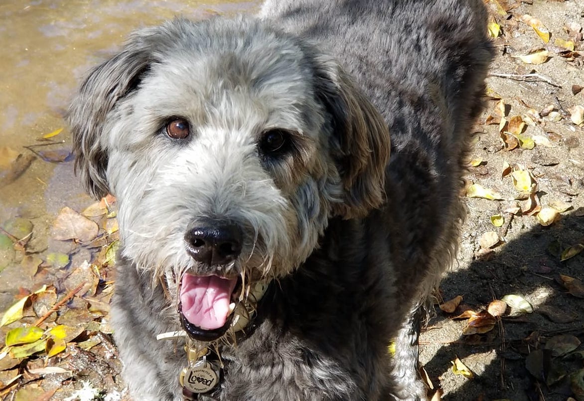 ShellyKeelDakota | FOX 28 Spokane