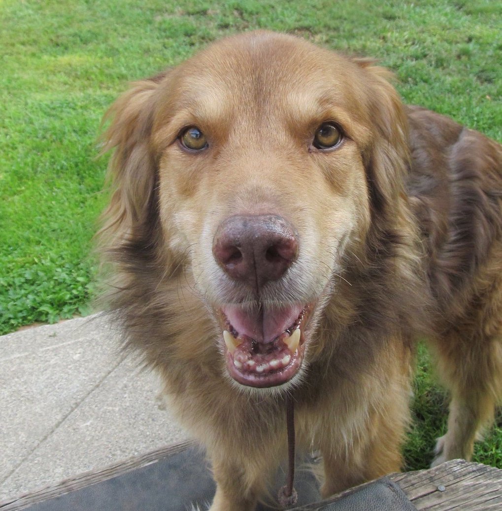 SmudgeOnBackSteps | FOX 28 Spokane