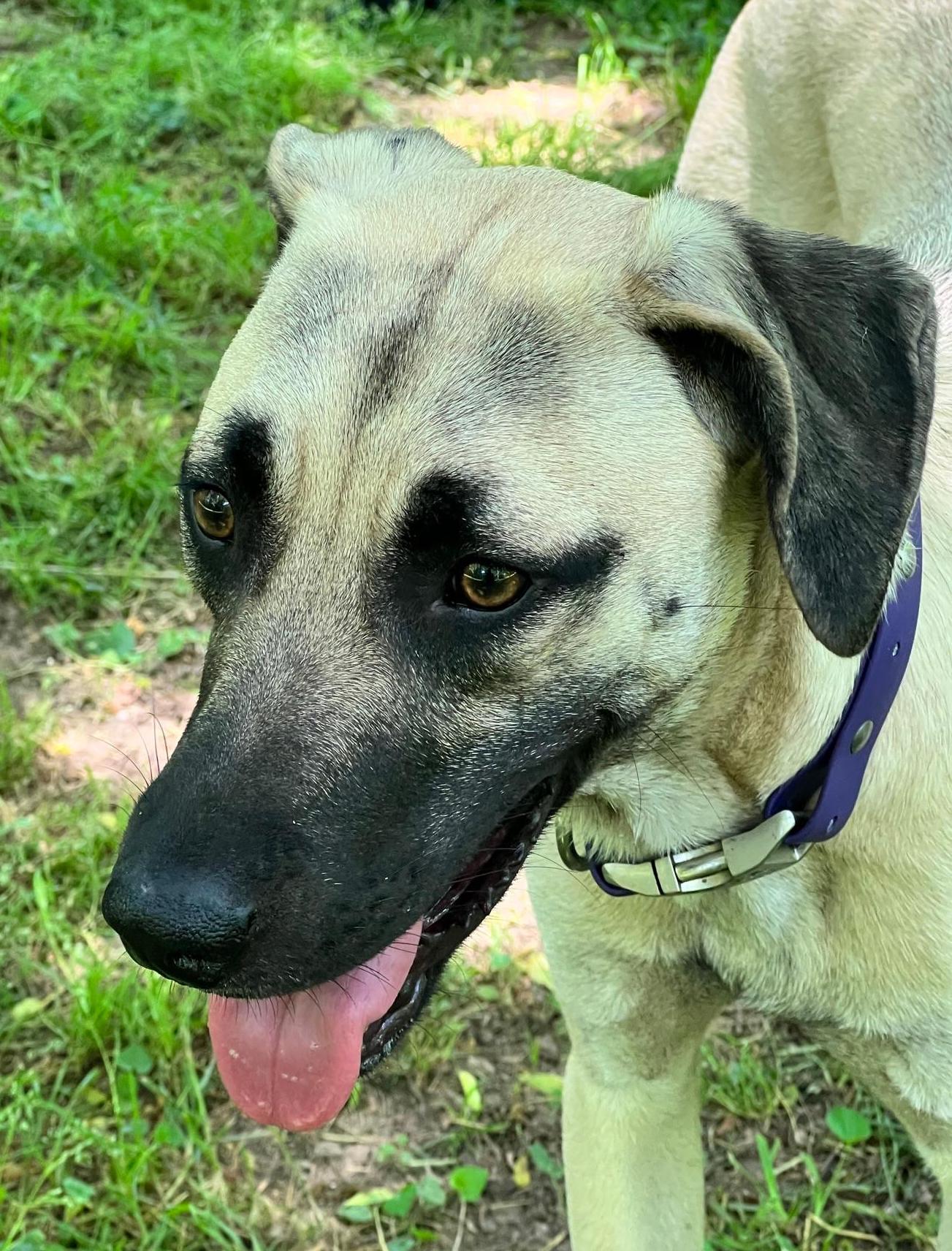 TelaniLasoleille | FOX 28 Spokane