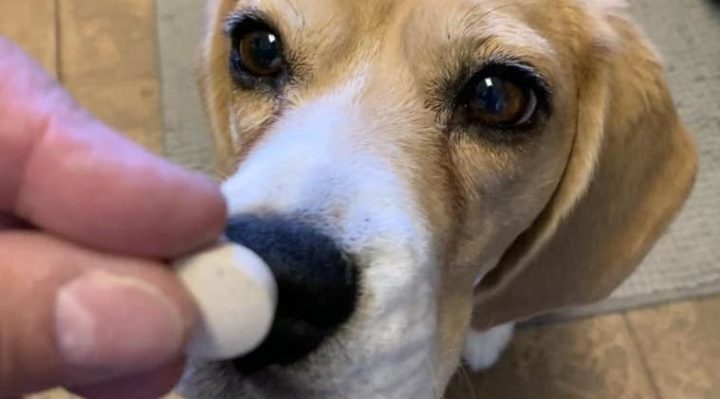 LaurieSchlossnaglePilling-720x399jpg | Fox 11 Tri Cities Fox 41 Yakima