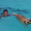 Annual paws in the pool set for Yakima