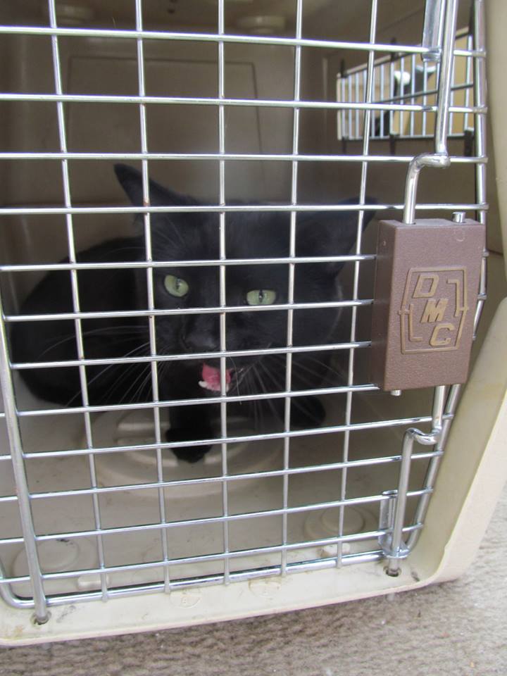 ValHughesPeelInKennel | FOX 28 Spokane