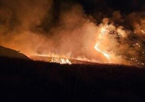 Wildfire near Wallula grows over 2,000 acres overnight