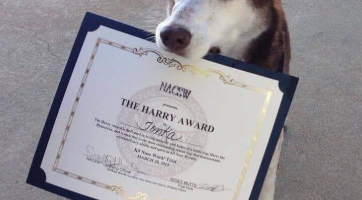 ShannonThier-720x399jpg | Fox 11 Tri Cities Fox 41 Yakima