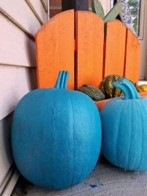 5bef466d58064imagejpg | Fox 11 Tri Cities Fox 41 Yakima