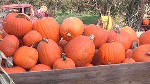 5bfdcd4532675imagejpg | Fox 11 Tri Cities Fox 41 Yakima