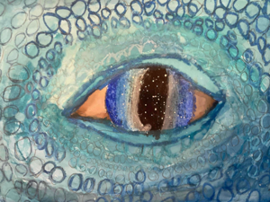 6527124d5fedeimagepng | Fox 11 Tri Cities Fox 41 Yakima